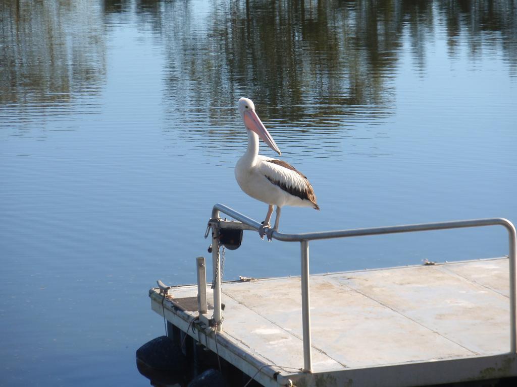 Maroochy Waterfront Motel Sunshine Coast Exteriér fotografie